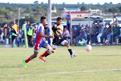Seagulls te lig