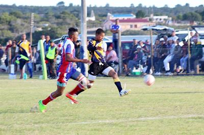 Seagulls te lig