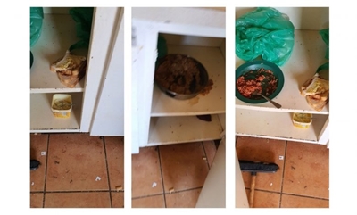 3 severely neglected minors rescued from horrendous living conditions in Venterspos