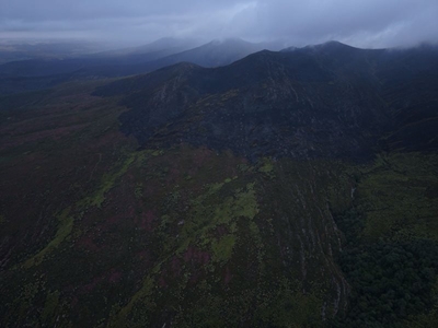 Rain Helps contain Heidelberg wildfire