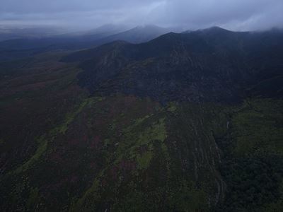 Rain Helps contain Heidelberg wildfire