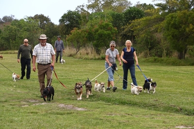 Dogs galore at Bark in the Park
