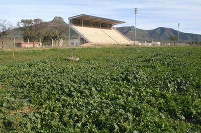 DA slams ANC for neglect of Eastern Cape sports facilities