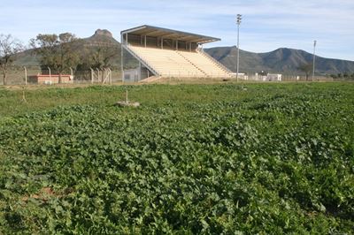 DA slams ANC for neglect of Eastern Cape sports facilities