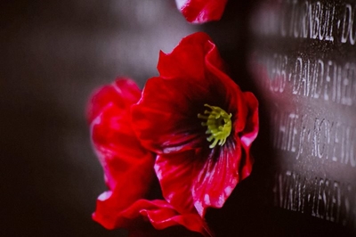 Remembrance Sunday service this month