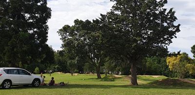 'Adopt a spot' to contribute to the beautification of George