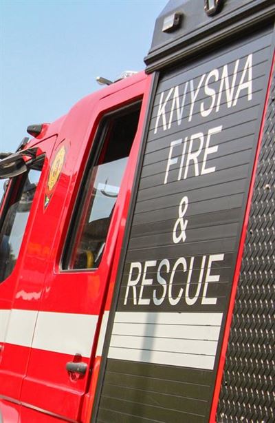 Dogs perish in house fire, owner safe