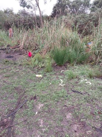 Littering, drug use: Garden Route Dam a playground