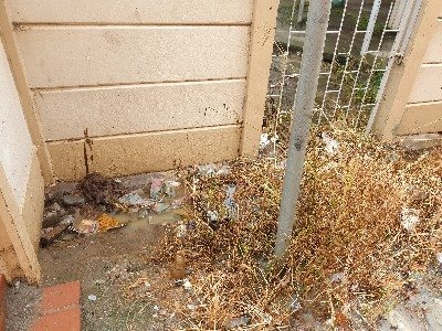 Rendering service among the filth