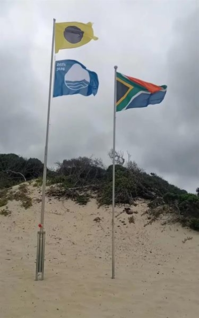 Blue Flags flying proudly