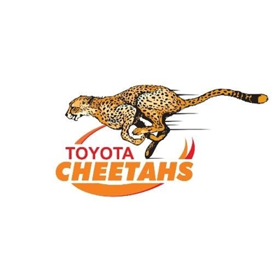 Yellow cards cost Cheetahs dearly