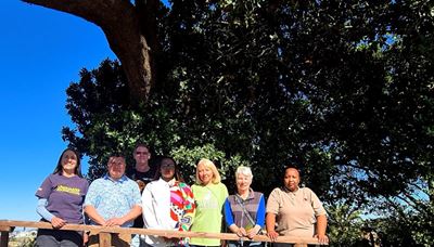 Help plot George's special trees