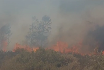 Garden Route District wildfire update: Aasvoëlberg, Albertinia 