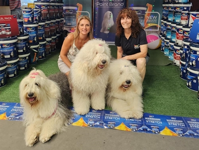Furry pooches melt hearts at Mustbuild