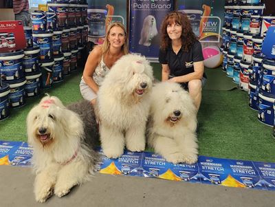 Furry pooches melt hearts at Mustbuild