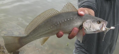 Keep your fishing habits sustainable