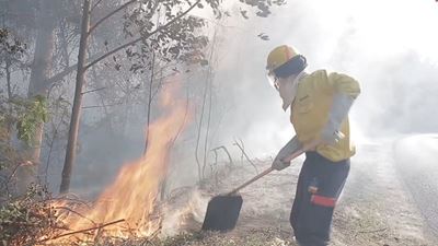 George Fires 2018: The insurance impact