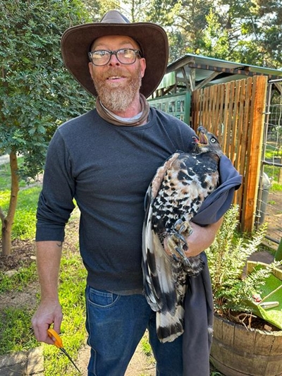 Dramatic rescue saves African crowned eagle