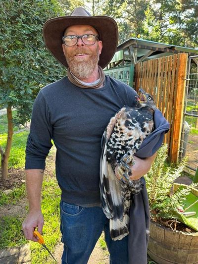 Dramatic rescue saves African crowned eagle