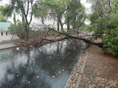 Reën bring min verligting vir boere