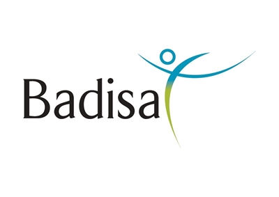 Online auction to aid Badisa