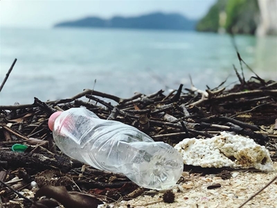 World Oceans Day: Microplastics found in turtles along SA coastlines
