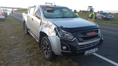 More horses killed on N2: SPCA calls for urgent action