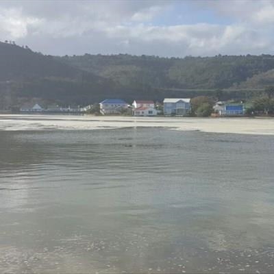 Opening of estuary discussed