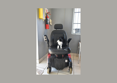 GRSPCA Mossel Bay selling wheelchair to raise funds