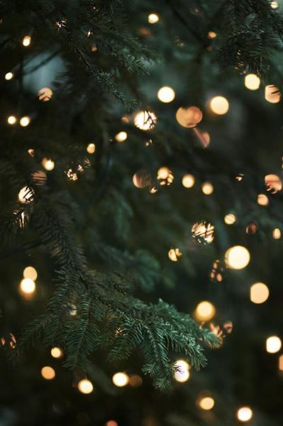 Lights Festival at Pacs amphitheatre