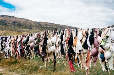 Donate a bra this Women’s Month