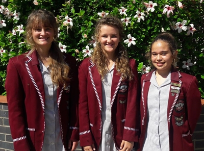 Volkskool debatteer US se Woordfees aan die brand