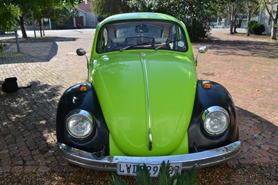1972 Beetle