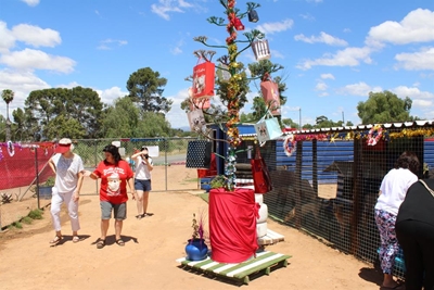 Oudtshoorn-diereherberg hou 'n Kersboom vir diere in nood