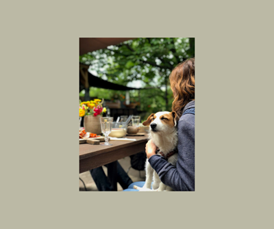 Policy for dogs in restaurants 