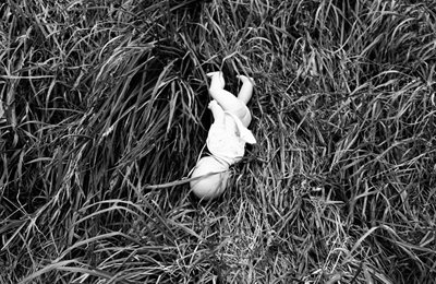 Father who allegedly raped 20-month-old was caught by his sister