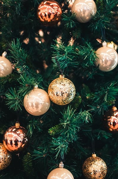 BLOG: How’s this for an ideal Christmas gift?
