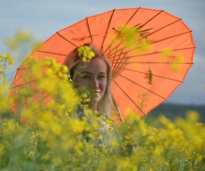 Caper in canola field