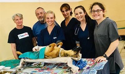 Spay-a-Thon op Uniondale gehou