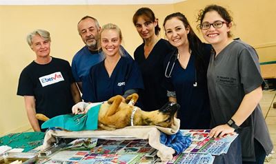 Spay-a-Thon op Uniondale gehou
