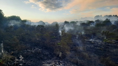 Rondevlei fire contained