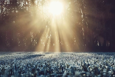 Winter is here! Series of cold fronts to hit parts of SA this weekend