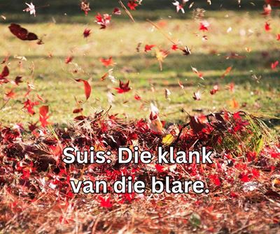 Wat se Woord van die Week: Suisel