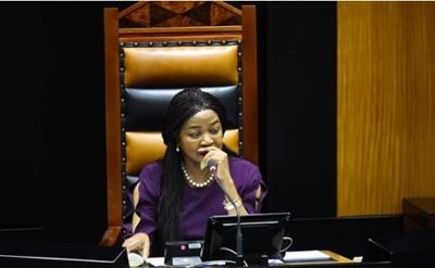 MPs did nothing while SA was being looted, says Outa