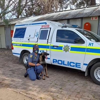 New duo to fight crime in town