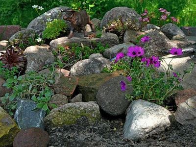 Tuinbouklublede gerat na uitstappie