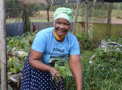 Growing more than trees: Forestry’s role in food security and livelihoods 