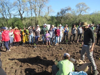 Trees planted at botanical garden 
