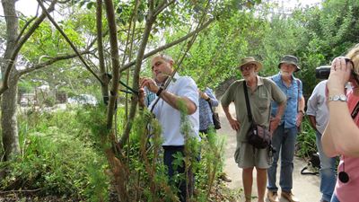 Expert investigates beetle plague