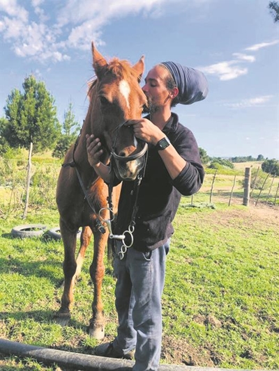 Horses targeted by cruel thieves